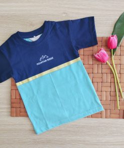 Boys T-Shirt-Mountain Ridge-Navy Blue
