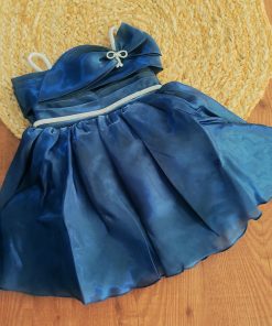Girls Casual Frock  - Glass Organza Dark Blue Froke - FRK