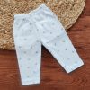 Unisex Daily Wear Pant - Light Blue Turtle - DPT1