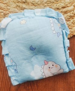Muslin Rai Pillow - Light Blue with Cute Dino  - PL1