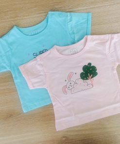 Boys T-Shirt Combo - Light Peach and Pista Green - BTS1