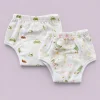 Organic Muslin Cotton Padded Underwear (Pack of 2) - Green Scooter with Car and Duck - PU1